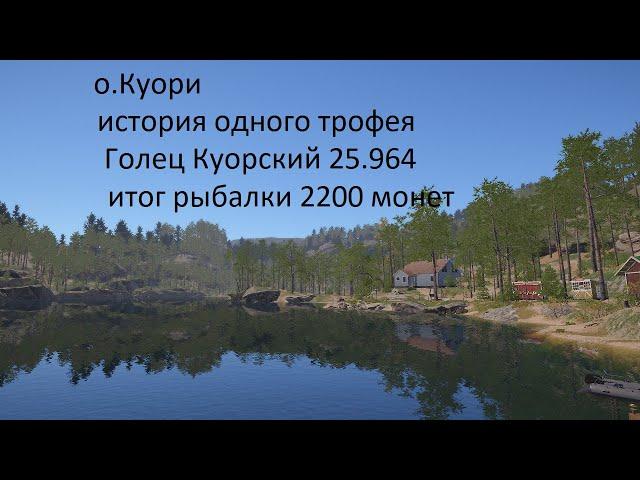 Русская рыбалка 4 -о.Куори-трофейный Голец Куорский-итог рыбалки 2200 монет