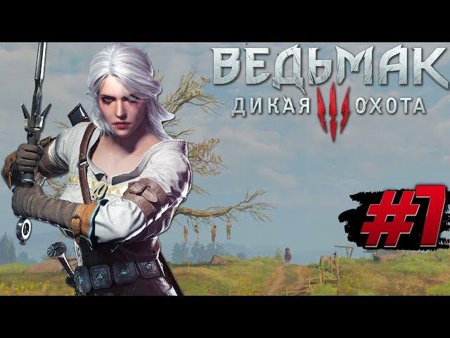 Ведьмак 3 Дикая Охота Прохождение на русском #7 ► Сюжетные задания [Часть 5]