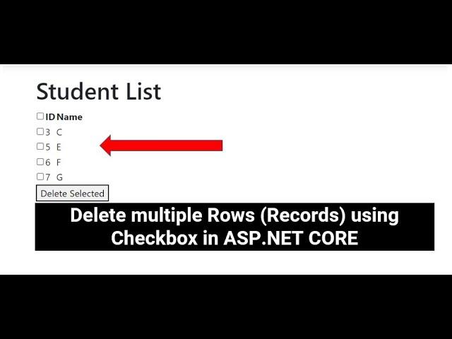 Delete multiple Rows (Records) using CheckBox in ASP.NET CORE With JavaScript