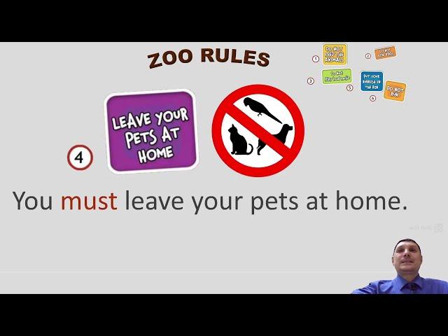 Урок 27 "Zoo Rules!" (урок 8b,  модуль 4 "At the Zoo!", учебник Spotlight 4 класс, стр.63-64)