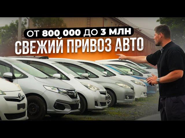 АВТОМОБИЛИ ИЗ ЯПОНИИ ПО ВКУСНЫМ ЦЕНАМ️ АВГУСТ 2024 ️ НАДО БРАТЬ️