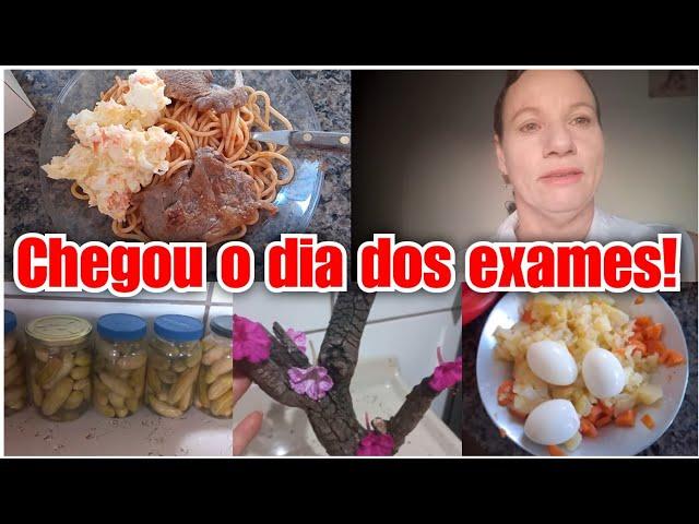 FORAM MUITAS EXPERIÊNCIAS TRAUMATICAS + FIZ CONSERVA DE PEPINOS! Vlog ️