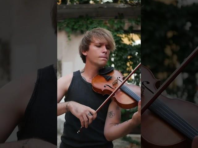 Lana Del Rey - Dark Paradise - Zotov violin cover