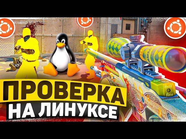  ЛИНУКС НА ПРОВЕРКЕ - Проверка Пабликов [XONE] // ПРОВЕРКА ПАБЛИКОВ CS2 