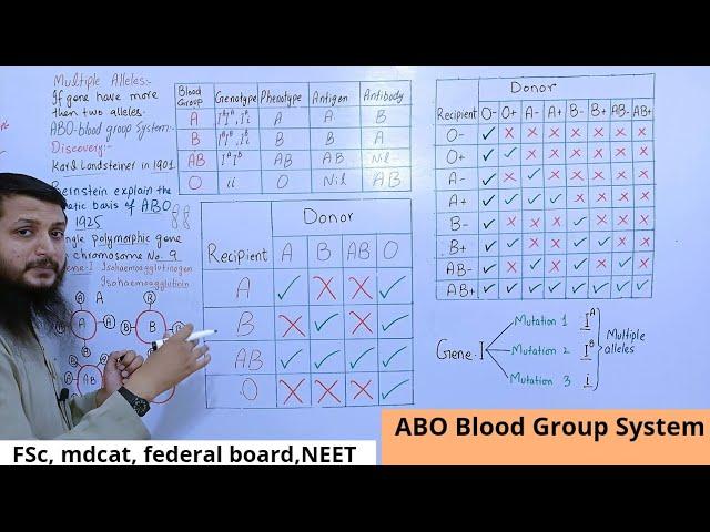 abo blood group system class 12