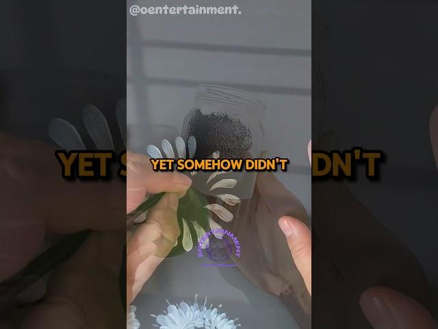 Judge Tossed It Instantly ️ #shorts #reddit #ytshorts