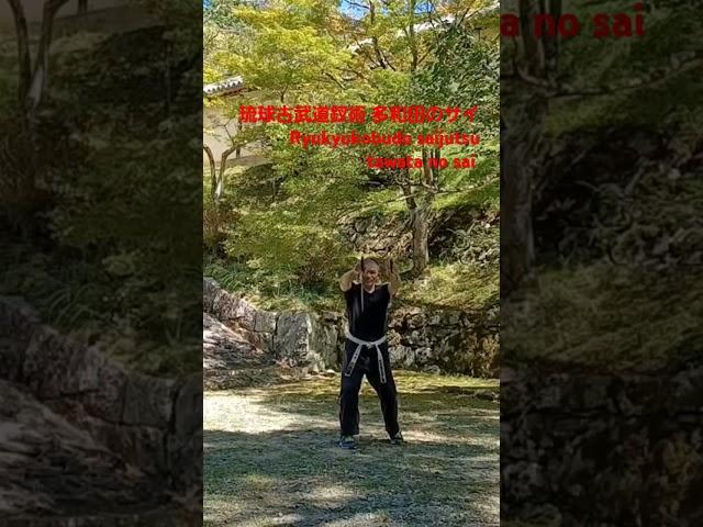 琉球古武道釵術 多和田のサイ　Ryukyukobudo saijutsu tawata no sai　忍者 ninja  京都 kyoto  　　　　　　