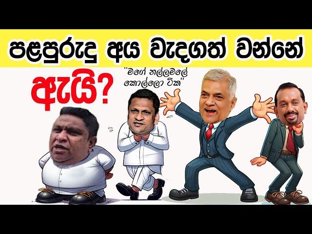 Lesson 640– පළපුරැදු අය වැදගත් වනේ ඇයි? -English in Sinhala |  Ideal guide to English