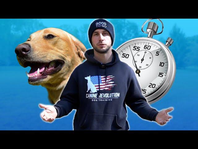 How to Train Your Dog in 6 Minutes