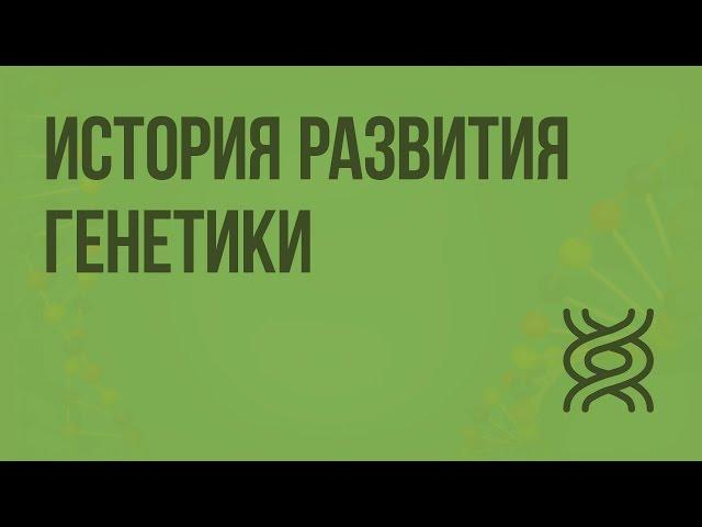 История развития генетики. Гибридологический метод. Видеоурок по биологии 10 класс