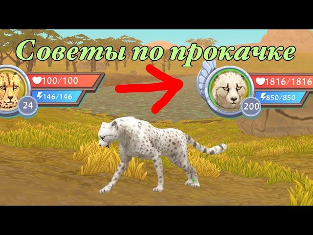 Советы по прокачке до 200 уровня в WildCraft | TED-MSM #wildcraft #вайлдкрафт #tedmsm