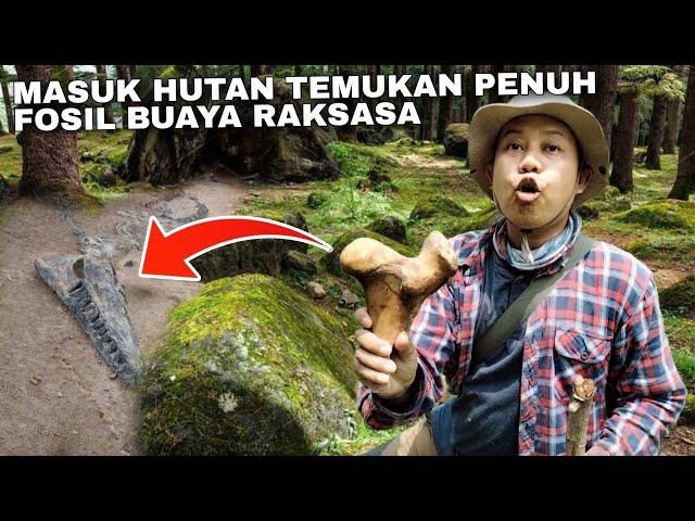 ASLI NYATA !! MASUK HUTAN TEMUKAN PENUH FOSIL BUAYA RAKSASA DI BEKAS PERKAMPUNGAN KUNO MAJAPAHIT ?!