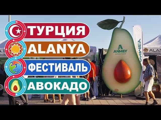 Фестиваль фруктов и авокадо в Алании