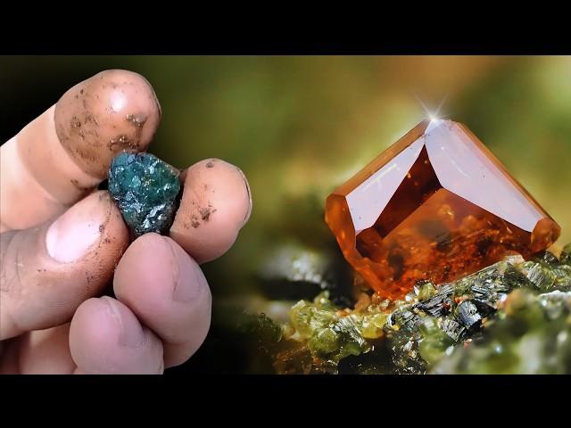 Signs That Your Yard Might Have Precious Stones