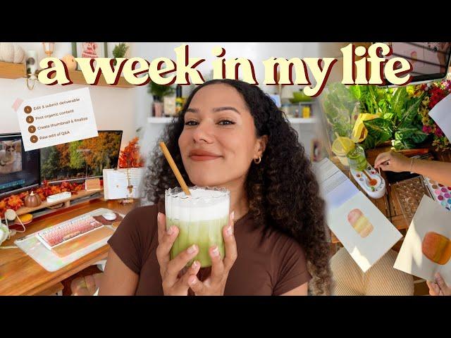 WEEK IN MY LIFE ~ creator to do's, tidying & cozy hobbies