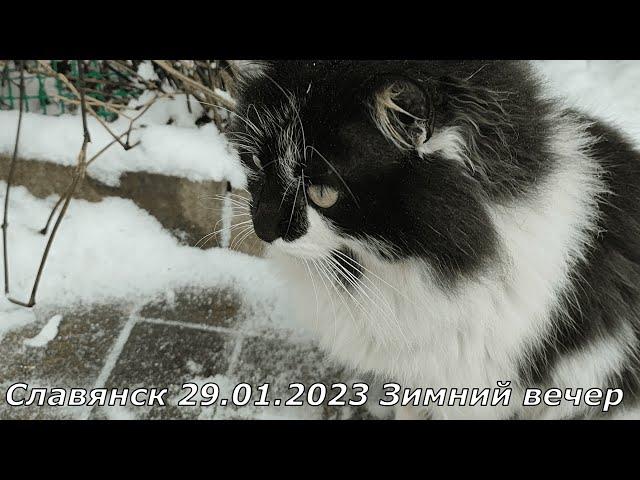 Славянск 29 января 2023 Зимний вечер