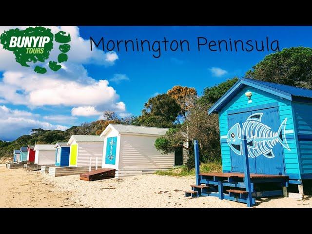 Mornington Peninsula Ultimate Day Tour