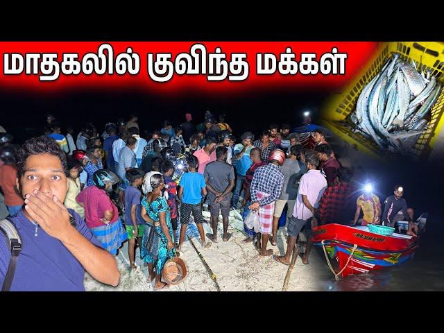 யாழில் மாதகலில் குவிந்த மக்கள் | பரபரப்பான இரவுநேர முரல் சந்தை | Mathagal Mural Fish | Jaffna