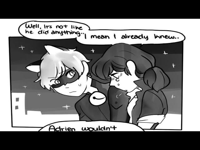 LADY BAG AND SUPER CAT || COMIC "LADYBUG'S CONFESSION" (1-PART)