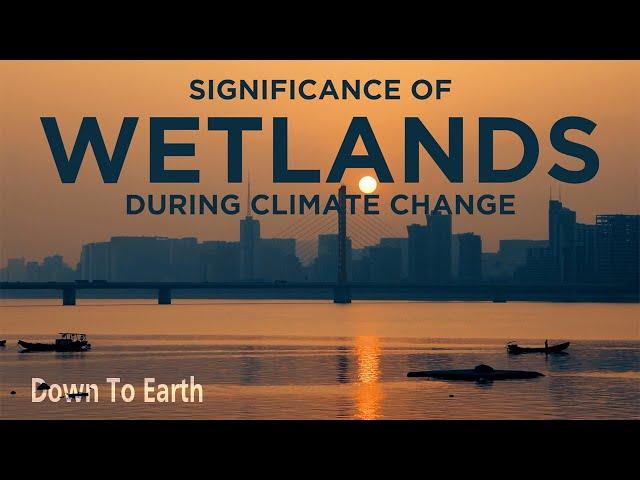 World Wetlands Day 2022: Importance of wetlands at the time of climate change.