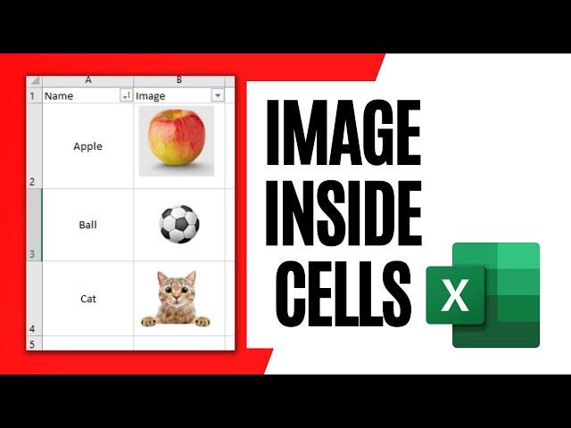 How to Insert Image in Excel Cell