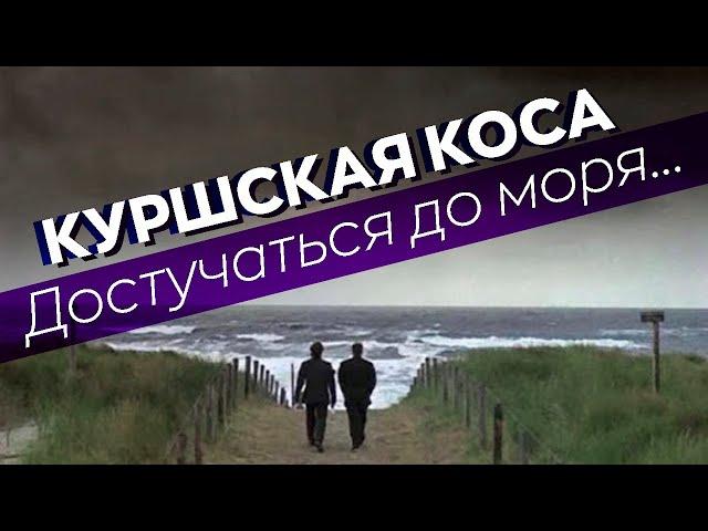 Куршская коса. Достучаться до моря...