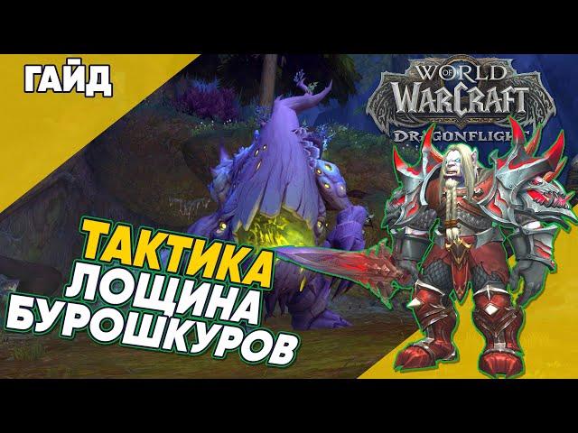 ЛОЩИНА БУРОШКУРОВ ТАКТИКА мифик плюс 2 сезон World of Warcraft Dragonflight патч 10.1