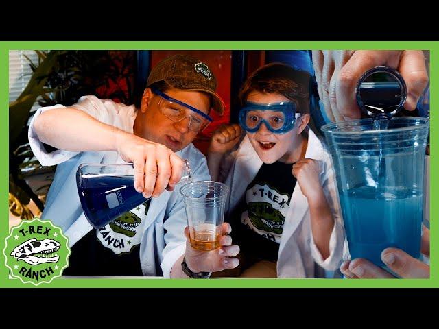 New Science Experiment |  T-Rex Ranch Dinosaur Videos