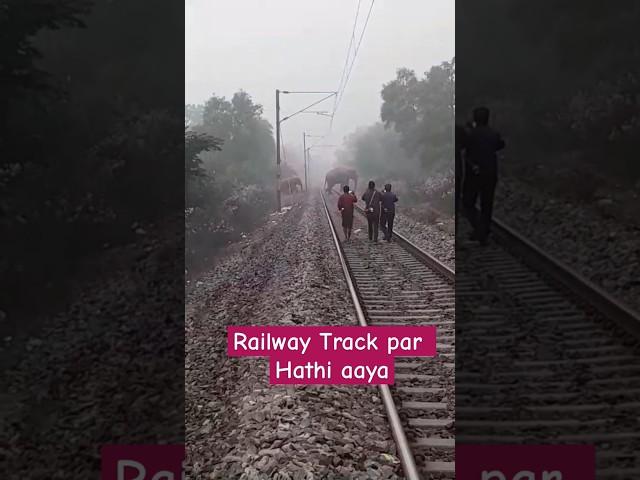 Aaj Railway track par Track Man ko Hathi mila 