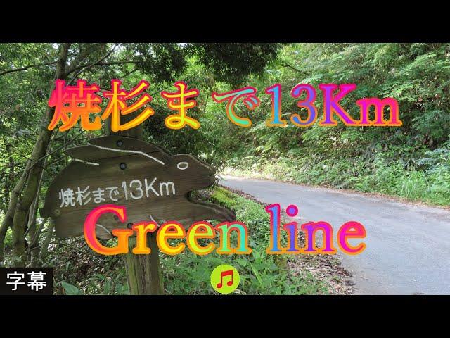 アジサイの咲く頃 6月7日 土曜 晴れ 梅雨 美しい緑 焼杉まで13Km Green line 日本 鳥取県西伯郡南部町能竹 南部町西伯カントリーパーク @WalkingYoshi