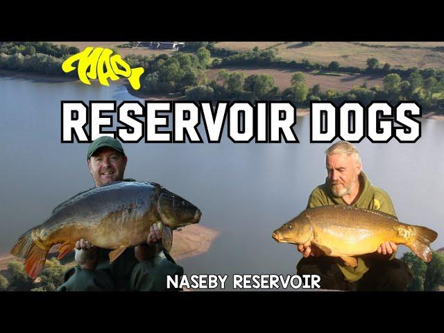 CARP FISHING... TV RESERVOIR DOGS.. NASEBY RESERVOIR MAD BAITS TV