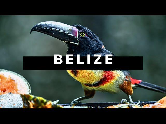 BELIZE TRAVEL DOCUMENTARY | The Grand Belizean Roadtrip 