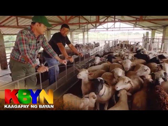 KBYN: Mga produktong nagagawa mula sa mga kambing at tupa