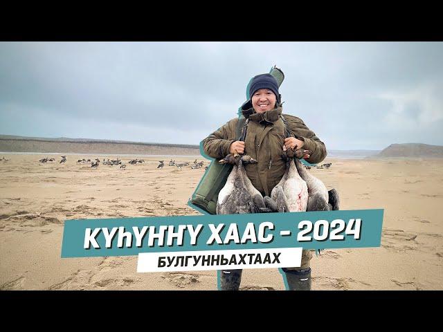 Күһүҥҥү хаас - 2024 | БУЛГУННЬАХТААХ