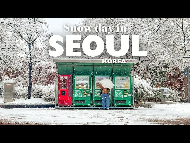 Snow day in Seoul, Korea | heaviest snowfall in 100 years, cosy days at home, winter morning routine