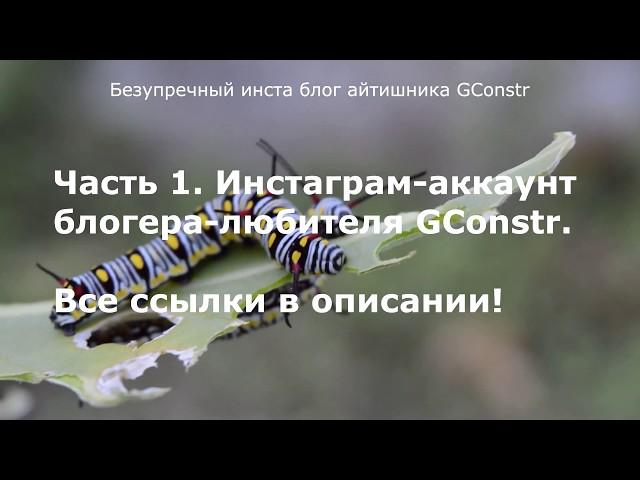 Безупречный инста блог айтишника GConstr