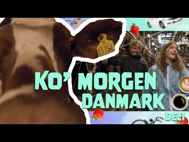 På den anden side - Ko' Morgen Danmark - Episode 3, del 1 af 2