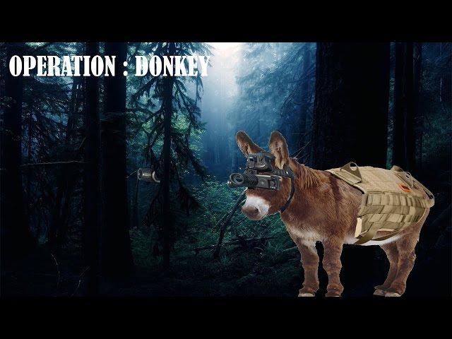 Operation: Donkey (Black Desert Online)