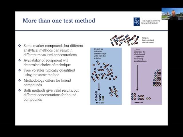 Smoke testing   what do labs actually measure and new ways to speed it up