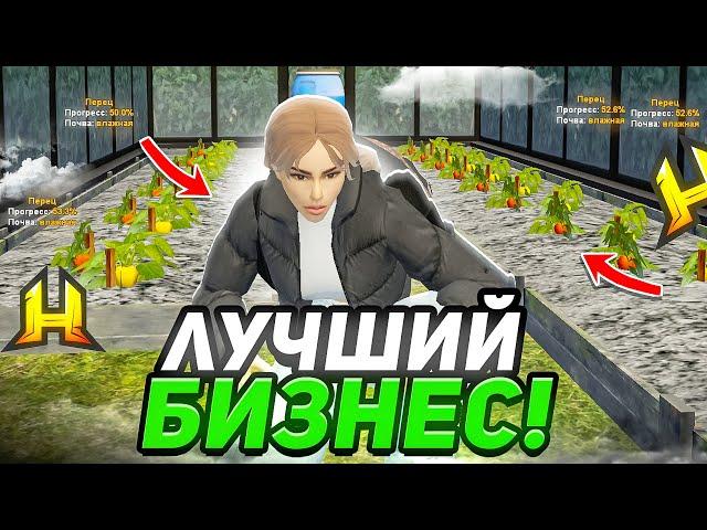 ЛЕГКИЕ ДЕНЬГИ ДЕЛАЮ НА ОГОРОДАХ! ОГОРОД - ЛУЧШИЙ БИЗНЕС НА RADMIR RP / HASSLE ONLINE