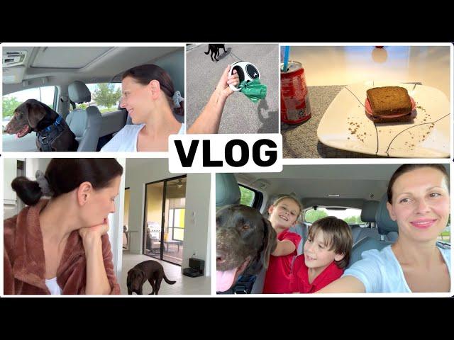 США Влог Он вернулся и теперь мы везде вместе Одиночество? Где? Big big family in the USA VLOG