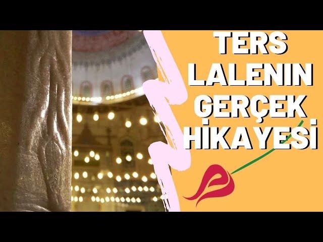 Ters Lale'nin Gerçek Hikayesi - TARİHTEN HİKAYELER 9