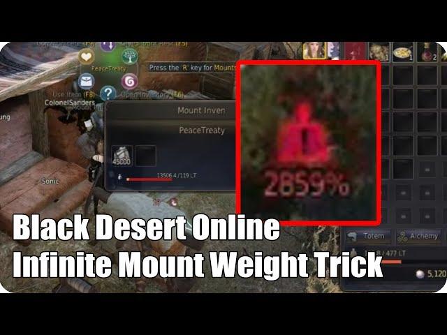 BDO How To Put Infinite Weight on Your Mount