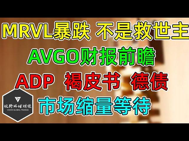 美股 MRVL暴跌，不是半导体救世主！AVGO财报前瞻！ADP、褐皮书，美元大跌，德债券收益暴涨！