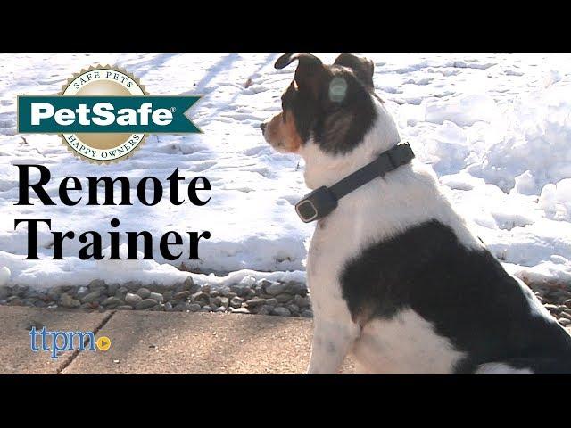 Remote Trainer from PetSafe