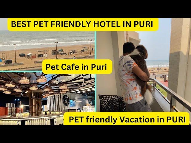 Pet Friendly HOTEL details In PURI  | ROOM TOUR | PET CAFE in PURI | পুরীতে আমাদের প্রথম দিন ️