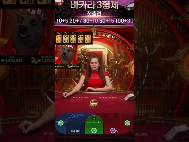 바카라3형제 셋째 곰이 풍성한 바카라 타이 50배!! #바카라 #바카라3형제 #바카라실시간