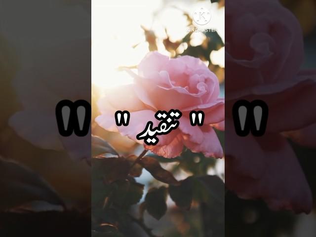 "Tareef aur Tanqeed" #shorts #poetry #trending #viral #youtubeshort