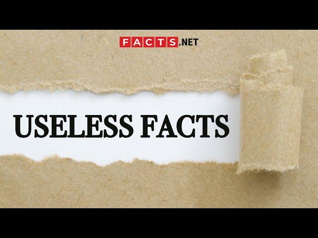 Useless Facts For You To Learn A Thing Or Two