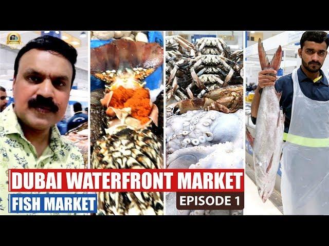 waterfront market dubai | dubai fish market | World's Best clean and hygienic fish Market